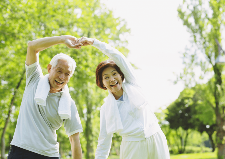 Web Design - 2025-11-08T011441.829